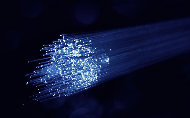 Fibre professionnelle
